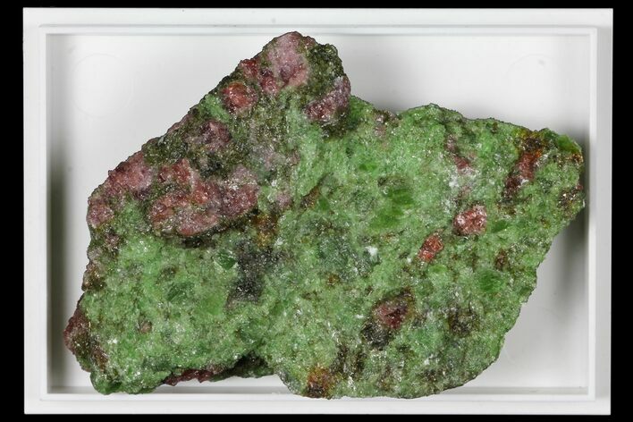 Pyrope, Forsterite, Diopside & Omphacite Association - Norway #131516